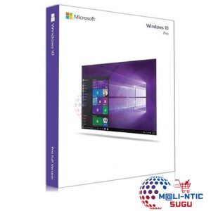 Microsoft Windows 10 Professionnel pour 1 PC