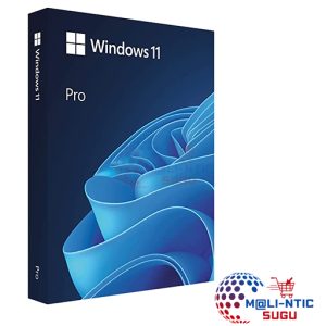 Microsoft Windows 11 Professionnel