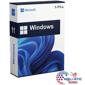 Microsoft Windows 11  5 PCs