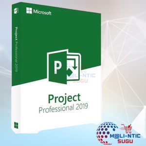 MS Project - 2019   