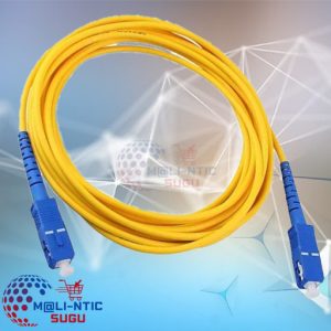 Câble Fibre Optique  10 Mètres   