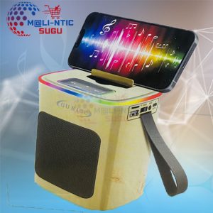 Enceinte Bluetooth GUNICE  LN-A268 / USB – Carte SD – MP3