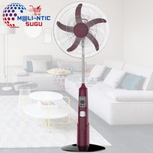 Ventilateur TELIMANI STAR  Rechargeable – 18’’