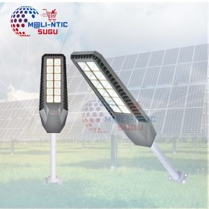Lampadaire All-in-One 600 Watts